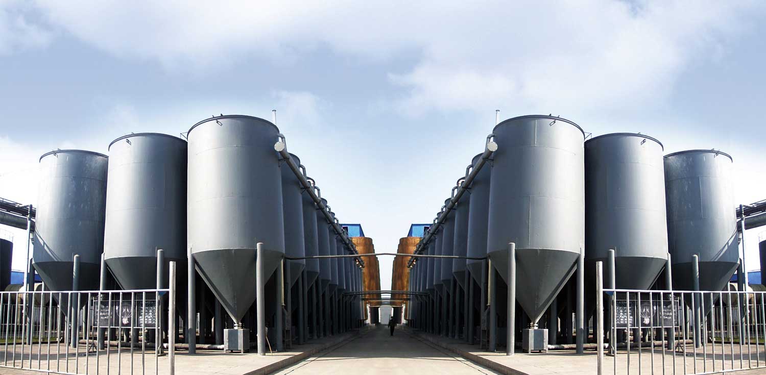 FABRICATION DE GOMME XANTHANE POUR FORAGE PÉTROLIER