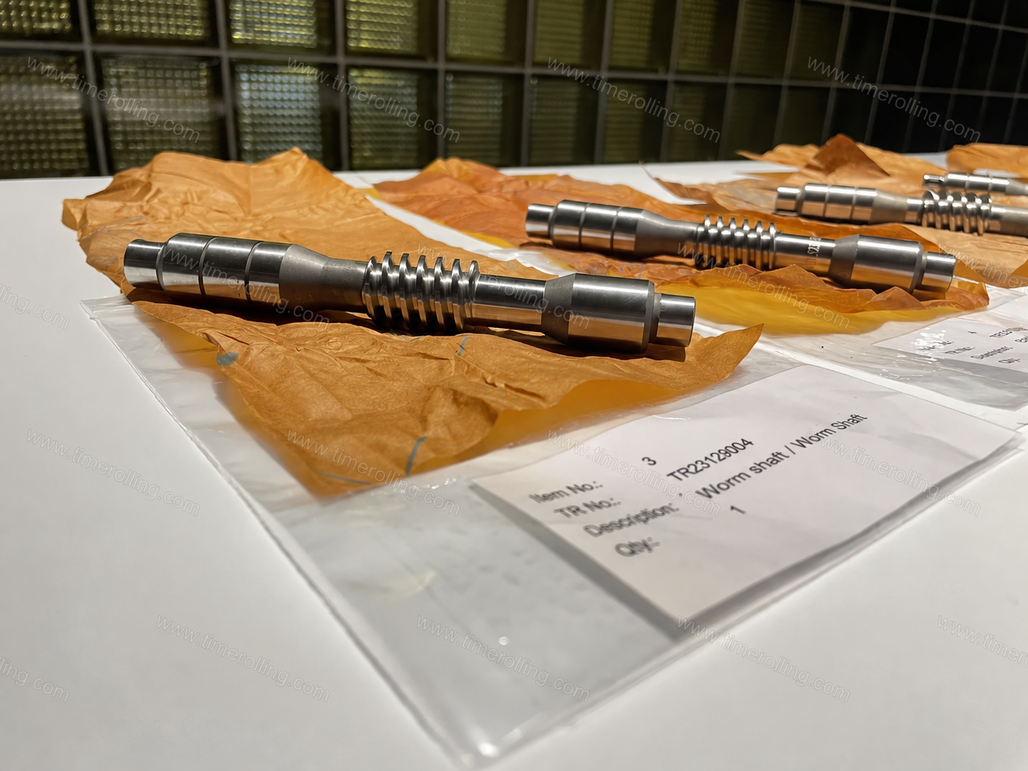 Arbre à vis sans fin de remplacement pour pompe LEWA LDB1 M910S 11 